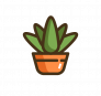 Wabi Sabi Gardening